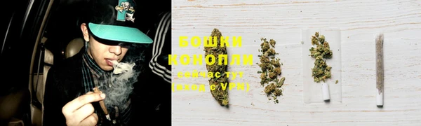гашик Богданович