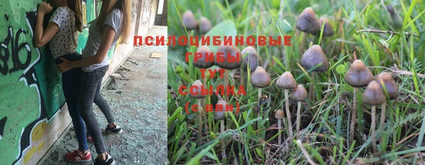 гашик Богданович