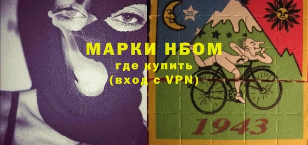 прущие грибы Беломорск