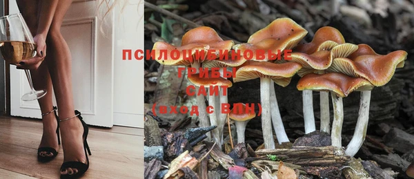 дурь Богородицк